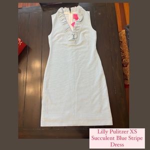 Lilly Pulitzer Succulent Blue Dress